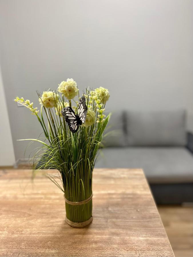 Nalyvaika Lviv Apartments Dış mekan fotoğraf